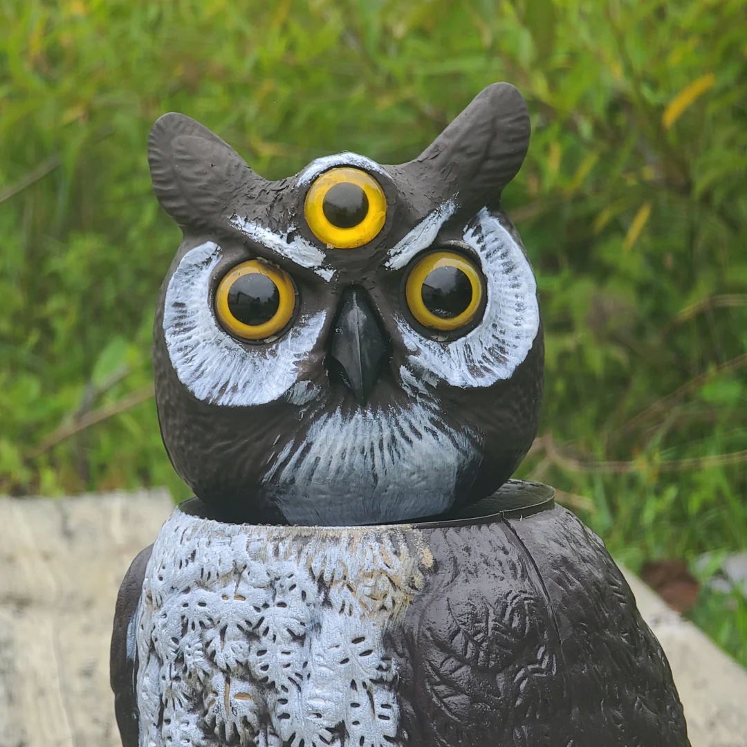 3-Eyed Rotating Head Owl Decoy, 18", Large Natural Enemy Scarecrow Bird Deterrent, by Dalen Products - Image 10