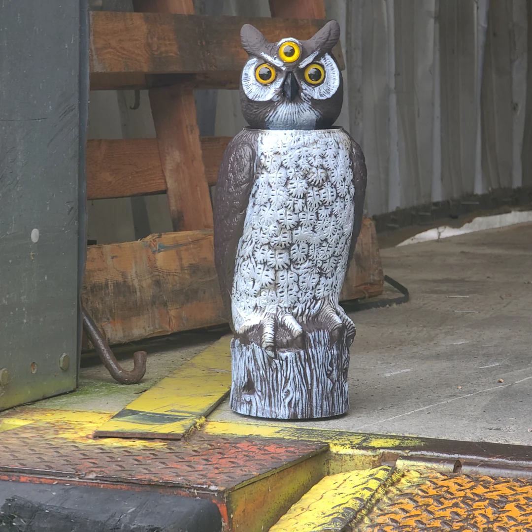 3-Eyed Rotating Head Owl Decoy, 18", Large Natural Enemy Scarecrow Bird Deterrent, by Dalen Products - Image 12
