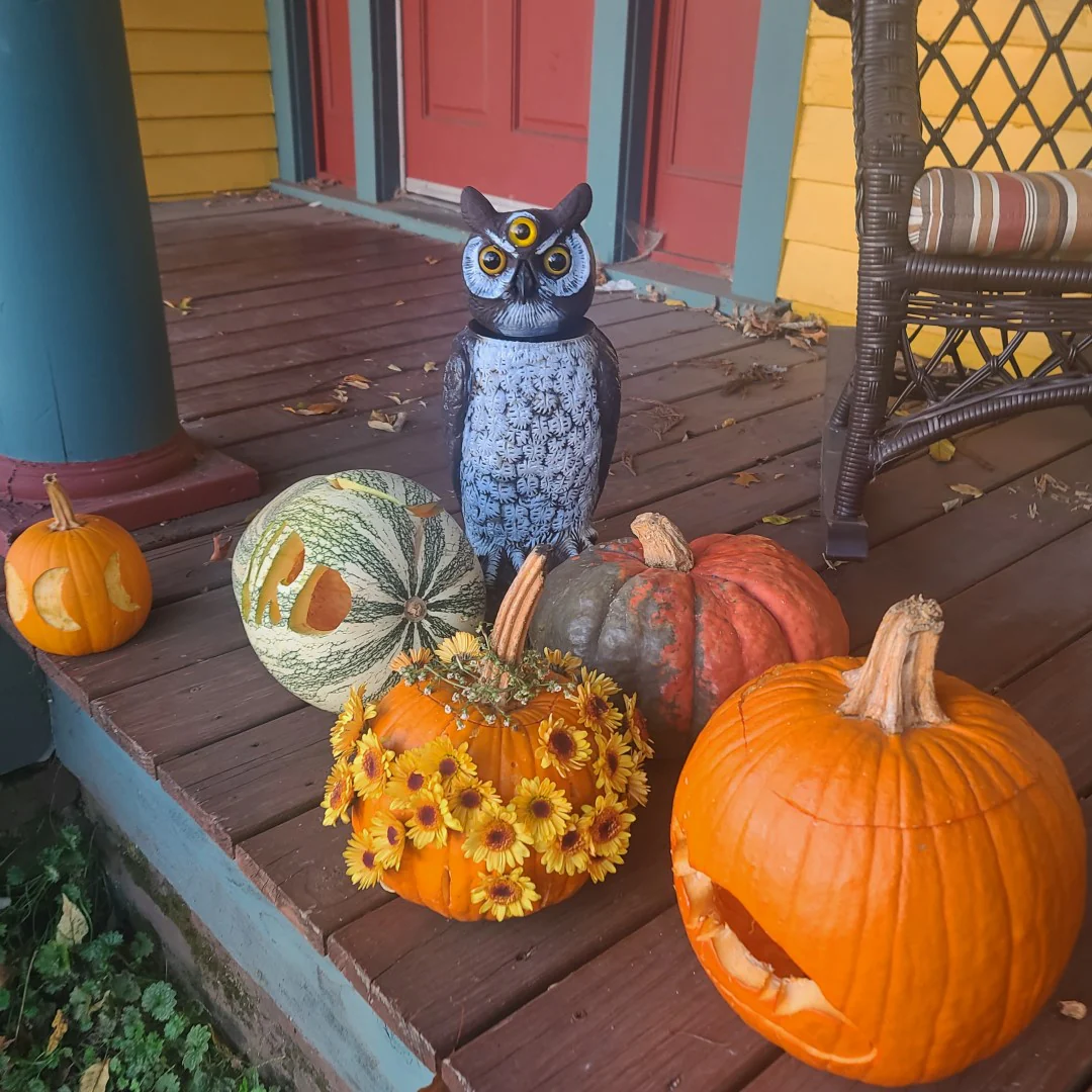 3-Eyed Rotating Head Owl Decoy, 18", Large Natural Enemy Scarecrow Bird Deterrent, by Dalen Products - Image 13