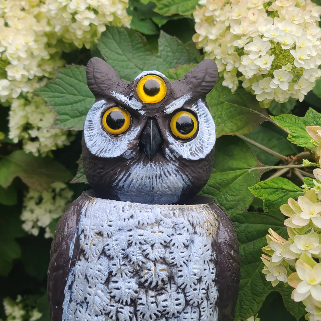 3-Eyed Rotating Head Owl Decoy, 18", Large Natural Enemy Scarecrow Bird Deterrent, by Dalen Products - Image 7
