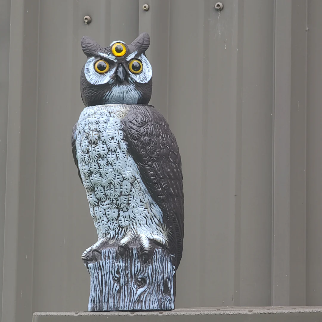 3-Eyed Rotating Head Owl Decoy, 18", Large Natural Enemy Scarecrow Bird Deterrent, by Dalen Products - Image 9