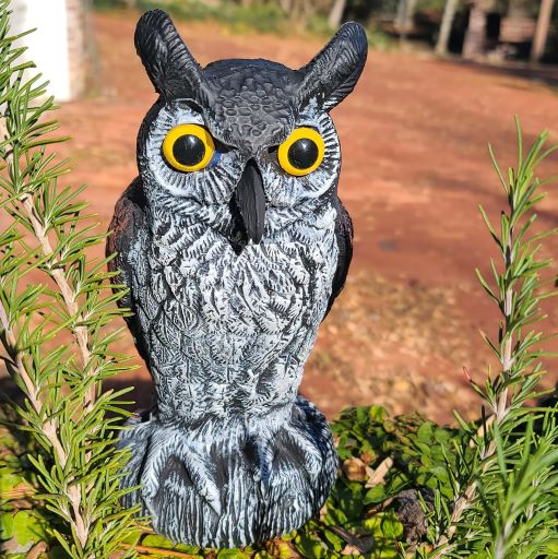 Baby Scarecrow Owl, 10.6", Great Horned Owlet Decoy Bird Deterrent, by Dalen Products - Image 10