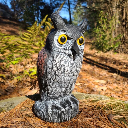 Baby Scarecrow Owl, 10.6", Great Horned Owlet Decoy Bird Deterrent, by Dalen Products - Image 4