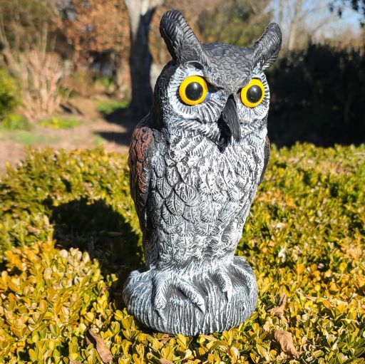 Baby Scarecrow Owl, 10.6", Great Horned Owlet Decoy Bird Deterrent, by Dalen Products - Image 9