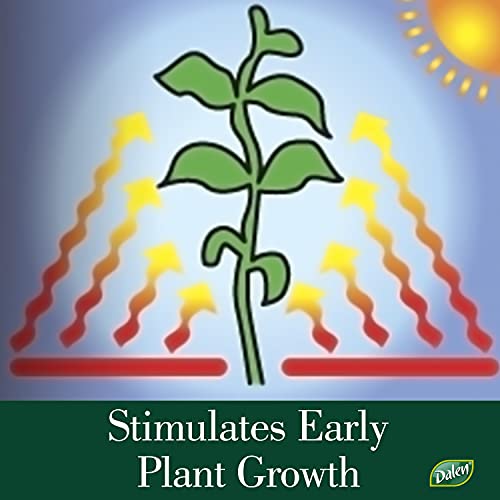 Better Reds Sunshine Reflector, Ground Cover for Boosting Tomato & Fruit Growth, by Dalen Products - Image 3