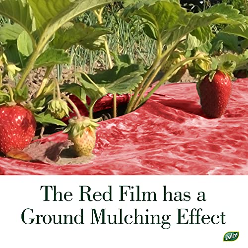 Better Reds Sunshine Reflector, Ground Cover for Boosting Tomato & Fruit Growth, by Dalen Products - Image 4