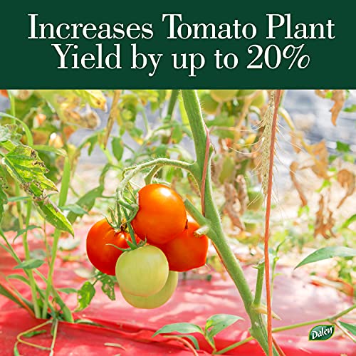 Better Reds Sunshine Reflector, Ground Cover for Boosting Tomato & Fruit Growth, by Dalen Products - Image 7