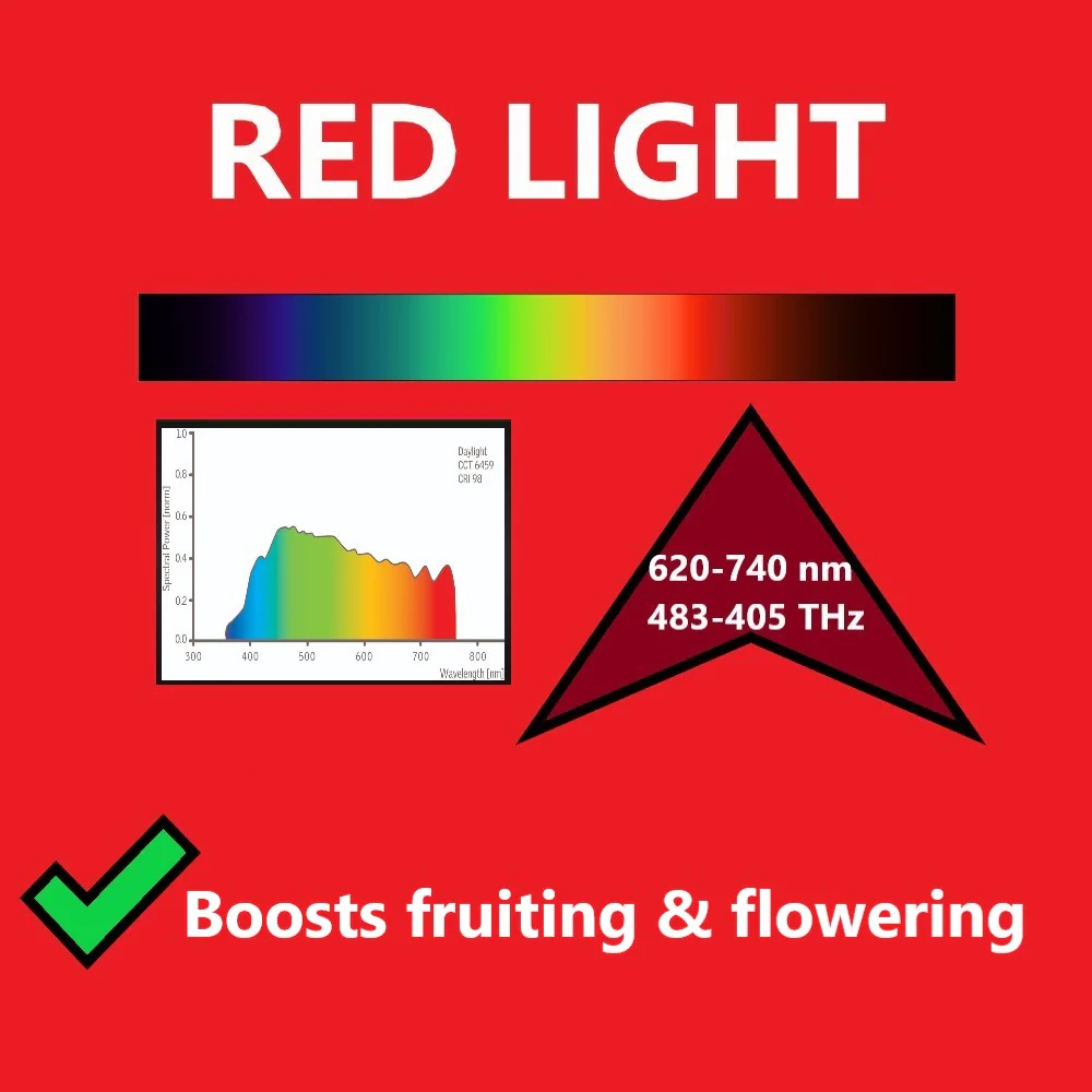Better Reds Sunshine Reflector, Ground Cover for Boosting Tomato & Fruit Growth, by Dalen Products - Image 8