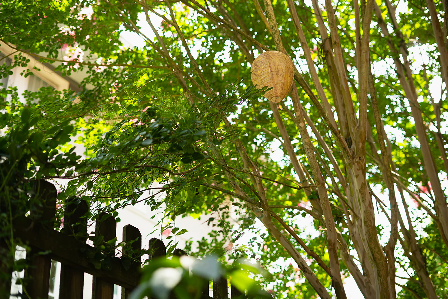 Fake Hornet's Nest, 3-Pack, Wasp & Bee Territorial Nesting Repellent, by Dalen Products - Image 3