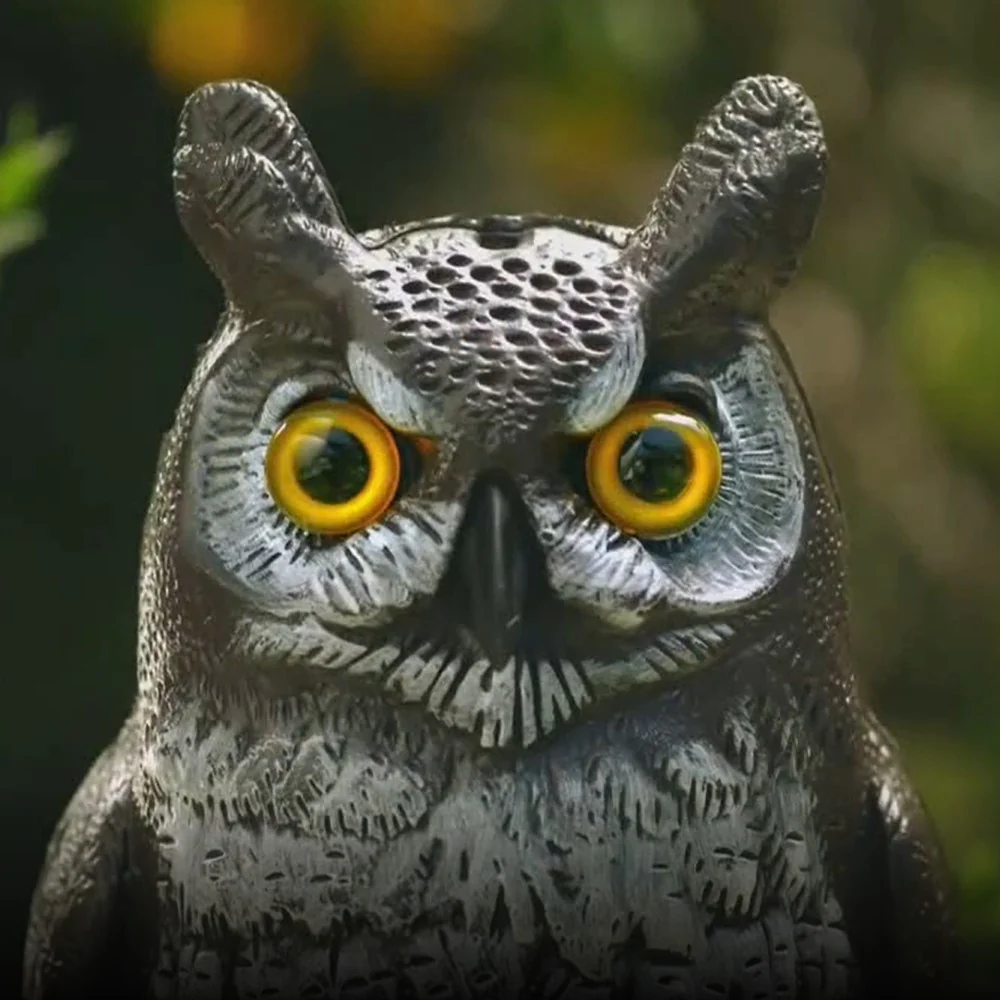 Great Horned Owl Decoy, 16", Lifelike Hand-Painted Stationary Scarecrow Bird, by Dalen Products - Image 12