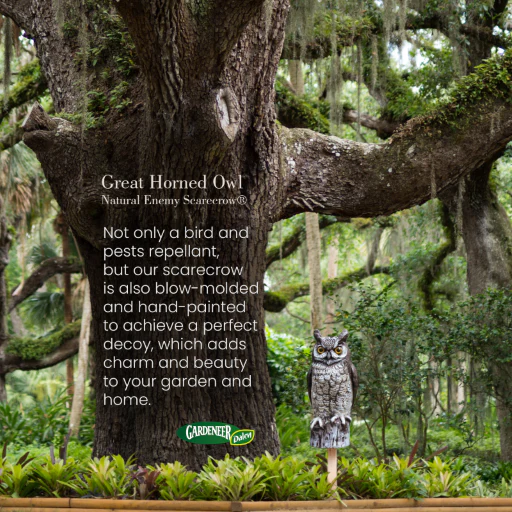 Great Horned Owl Decoy, 16", Lifelike Hand-Painted Stationary Scarecrow Bird, by Dalen Products - Image 15