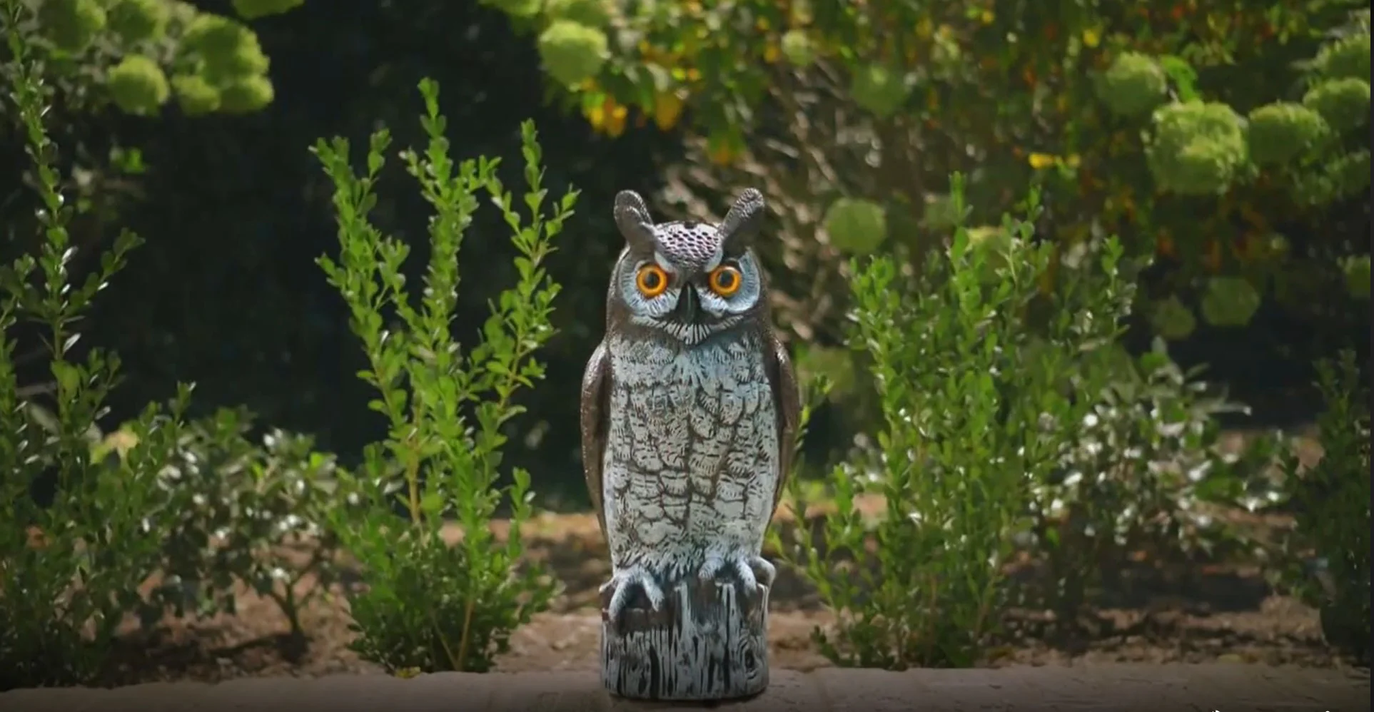 Great Horned Owl Decoy, 16", Lifelike Hand-Painted Stationary Scarecrow Bird, by Dalen Products - Image 16