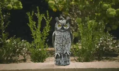 Great Horned Owl Decoy, 16", Lifelike Hand-Painted Stationary Scarecrow Bird, by Dalen Products - Image 3