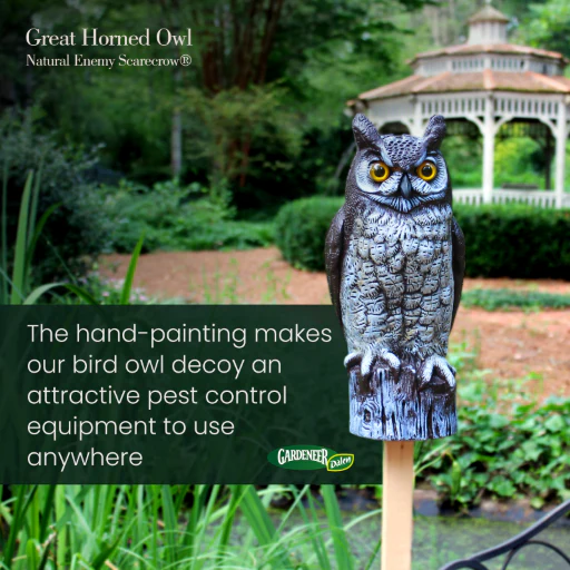 Great Horned Owl Decoy, 16", Lifelike Hand-Painted Stationary Scarecrow Bird, by Dalen Products - Image 4