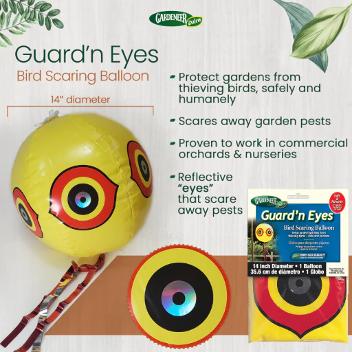 GUARD'N EYES Bird Scare Balloon, 14", Inflatable Reflective Bird Deterrent, by Dalen Products - Image 4