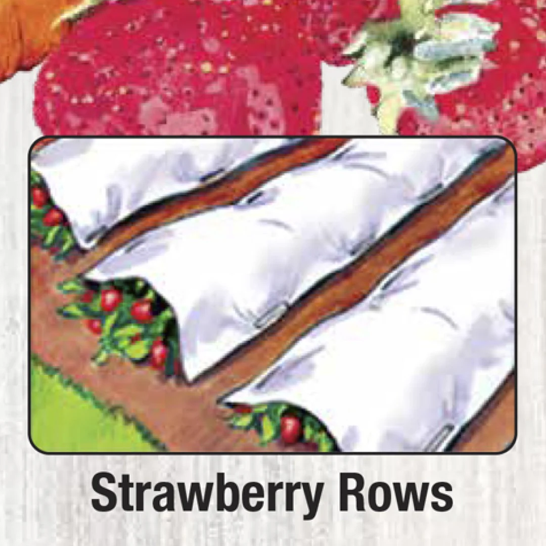 Harvest-Guard Garden Cover Blanket, All-Season Protective Plant Row Cover, by Dalen Products - Image 3