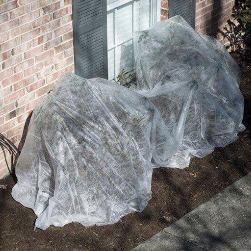 Harvest-Guard Garden Cover Blanket, All-Season Protective Plant Row Cover, by Dalen Products - Image 6