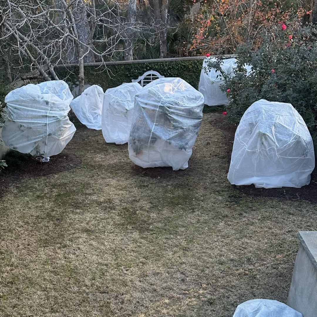 Harvest-Guard Plant Protector Bag, 8ft x 6ft, Cold Weather Frost Protection Cover, by Dalen Products - Image 3