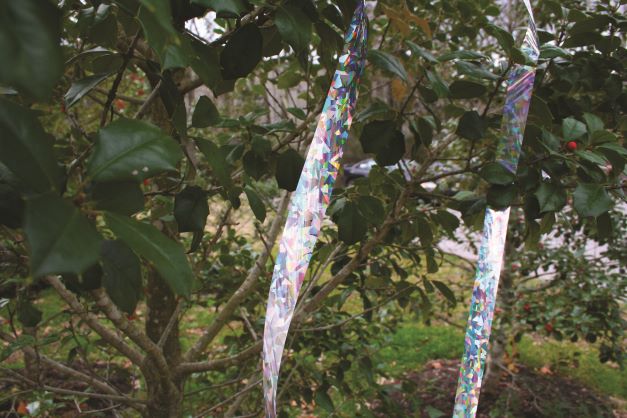 Holographic Scare Tape, 100 ft, Full-Spectrum Reflective Bird Deterrent Ribbon, by Dalen Products - Image 5