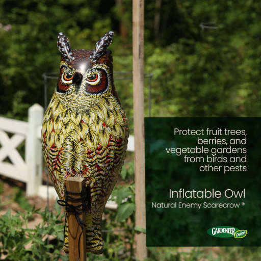 Inflatable Owl Decoy, 24", Natural Enemy Scarecrow Bird Deterrent, by Dalen Products - Image 2
