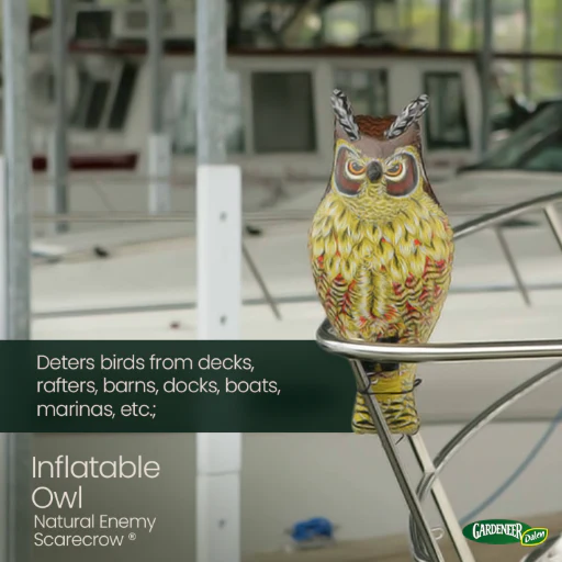 Inflatable Owl Decoy, 24", Natural Enemy Scarecrow Bird Deterrent, by Dalen Products - Image 3