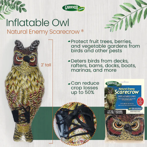 Inflatable Owl Decoy, 24", Natural Enemy Scarecrow Bird Deterrent, by Dalen Products - Image 5
