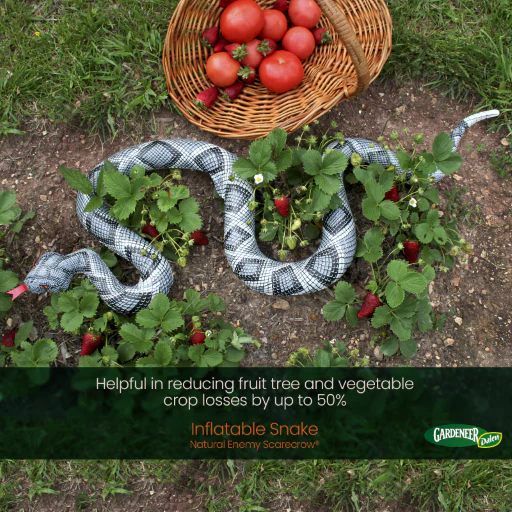 Inflatable Diamondback Snake Decoy, 6 ft, Realistic Natural Enemy Bird Scarecrow, by Dalen Products - Image 2