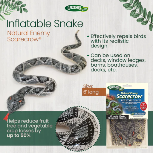 Inflatable Diamondback Snake Decoy, 6 ft, Realistic Natural Enemy Bird Scarecrow, by Dalen Products - Image 3