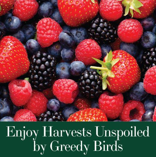 BIRD-X Protective Mesh Netting, Black Bird Barrier for Fruit Trees & Berry Bushes, by Dalen Products - Image 4