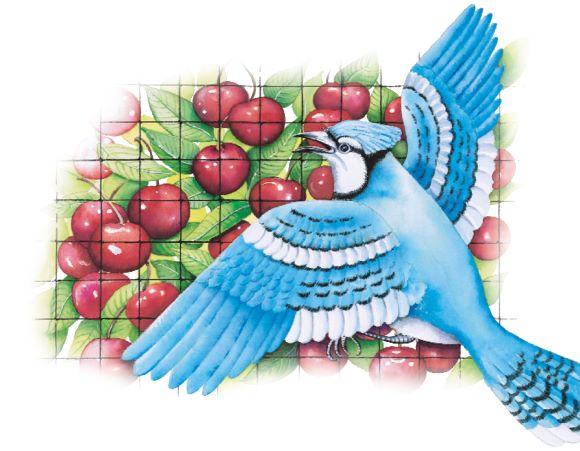 BIRD-X Protective Mesh Netting, Black Bird Barrier for Fruit Trees & Berry Bushes, by Dalen Products - Image 7