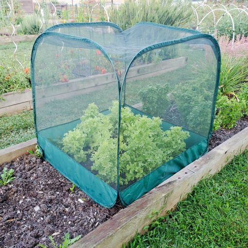 Pop-Net Protective Screen Mesh, Instant-Use Pest, Insect, Bird & Hail Barrier Cover, by Dalen Products - Image 4