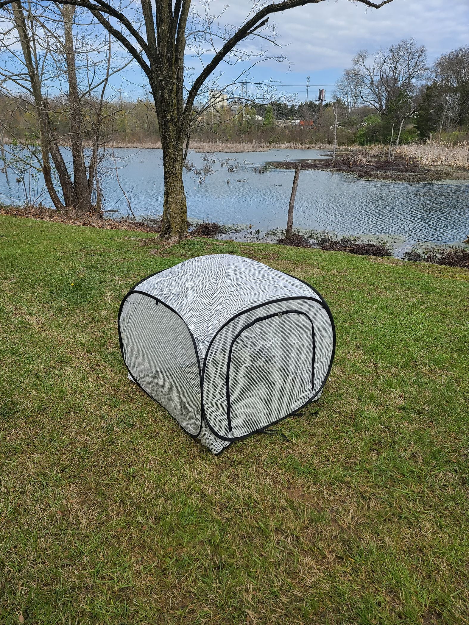 Pop-Up Greenhouse, 39", Protective Outdoor Plant Tent with Zipper Door, by Dalen Products - Image 6