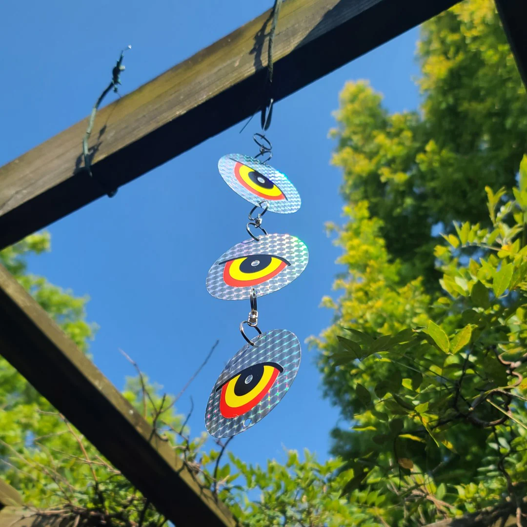 GUARD'N EYE Reflective Scare Disks, 4-Pack of 3 Disks, Full-Spectrum Hanging Bird Deterrent, by Dalen Products