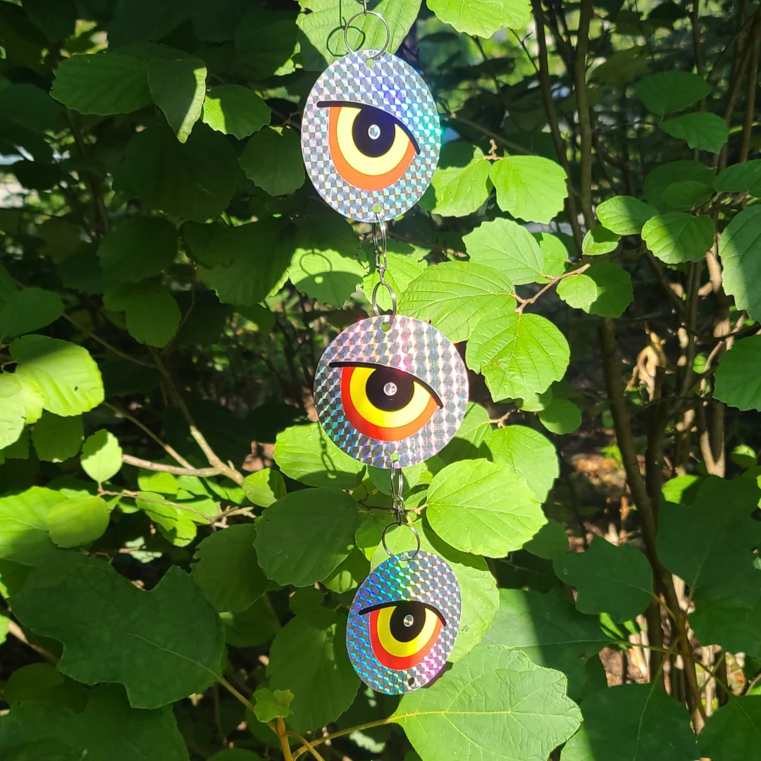 GUARD'N EYE Reflective Scare Disks, 4-Pack of 3 Disks, Full-Spectrum Hanging Bird Deterrent, by Dalen Products - Image 7