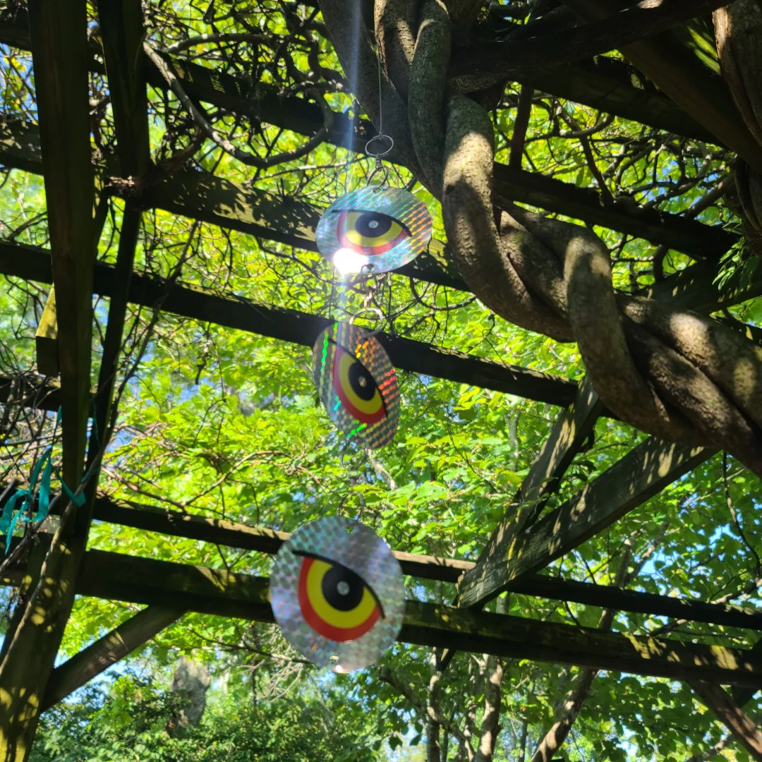 GUARD'N EYE Reflective Scare Disks, 4-Pack of 3 Disks, Full-Spectrum Hanging Bird Deterrent, by Dalen Products - Image 8