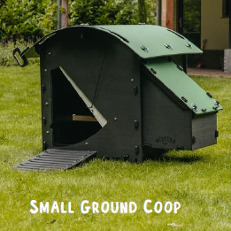 Nestera Chicken Coop House, Durable Backyard Poultry Housing (approx. 2-Week Lead Time), by Nestera - Image 2