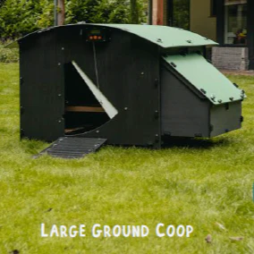 Nestera Chicken Coop House, Durable Backyard Poultry Housing (approx. 2-Week Lead Time), by Nestera - Image 4