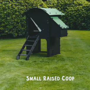 Nestera Chicken Coop House, Durable Backyard Poultry Housing (approx. 2-Week Lead Time), by Nestera - Image 6