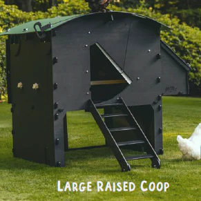 Nestera Chicken Coop House, Durable Backyard Poultry Housing (approx. 2-Week Lead Time), by Nestera - Image 8