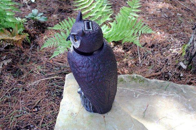 SOL-R Solar & Wind-Powered Owl Decoy, 18", Eco-Action Scarecrow Bird for Pest Deterrent, by Dalen Products - Image 9